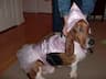 Photo of the user Becky Ferguson