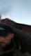 Photo of the user Jered