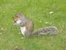 Photo of the user Tadhg