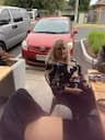 Photo of the user Anne Smyth