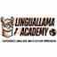 Photo of the user Linguallama Academy