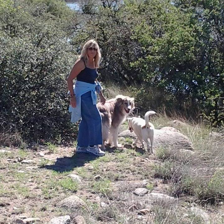 Photo of the user JoAnn
