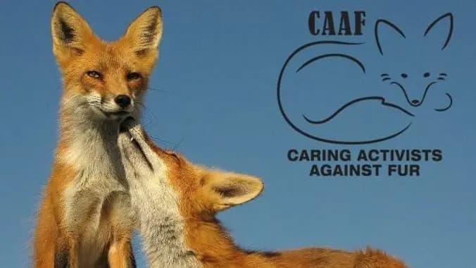 CAAF "Don't Buy Fur!" demo @ Saks 5th Avenue on 49th St in NYC