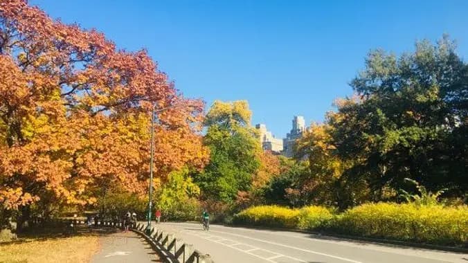 Walk in Central Park for Divorced Women