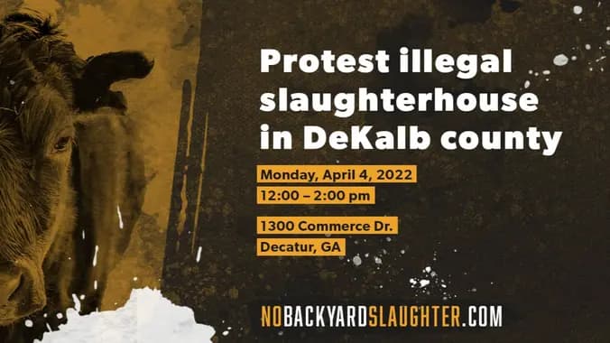 Protest Illegal Slaughterhouse in Dekalb County