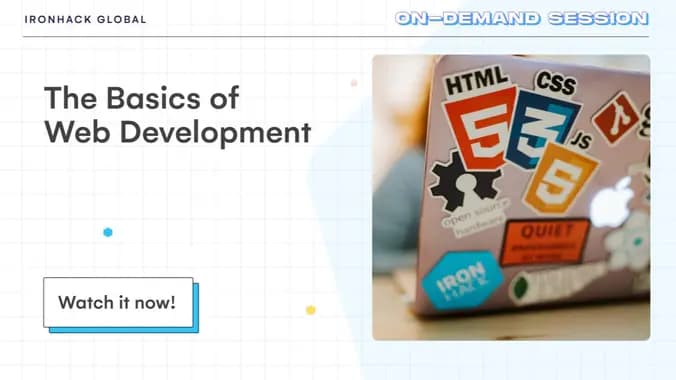 The Basics of Web Development