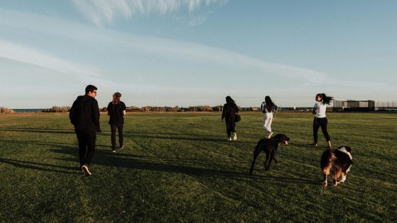 group-dog-walk-at-the-park_join-a-meetup-pet-group
