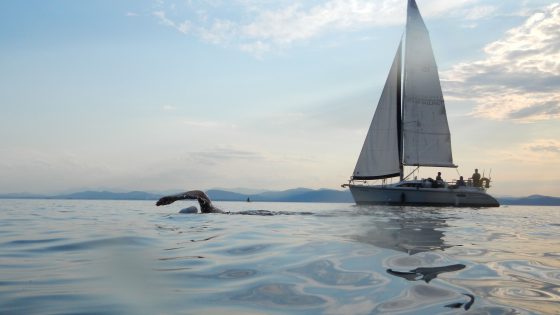 open-water-swimming_water-activities