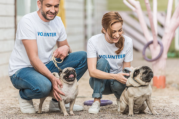 KCM 38 | Pets Are Wonderful Support